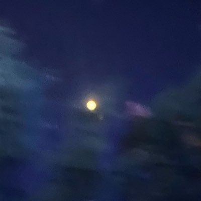 4LCcqv707isNqzT's profile picture. ...