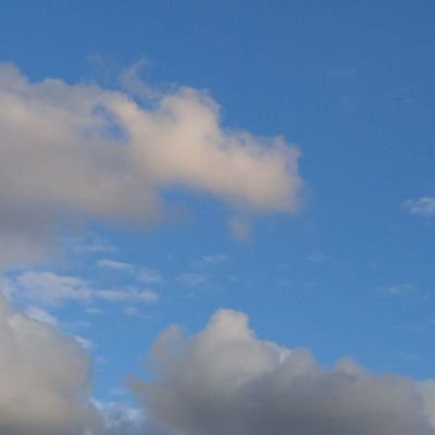 kohachi_tori's profile picture. 20↑　社会人
ツキウタ(始、春優先の箱推し)、ツキプロ、バズロ(孝明、悠人、岳)、第五人格(白黒無常、ポストマン、小説家)エリオス(ブラッド)お取り引き完了後DM消しお願い致します。通知が届かないため３日経っても連絡ない場合はご連絡ください。無言リプ消しNGです。一言ご連絡お願いします。