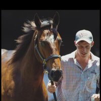 Damien Fitton (@damienfitton97) 's Twitter Profile