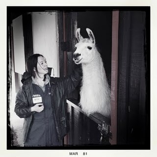 cheekylilo1's profile picture. 'Big Chloe C' – Stuart Maconie (when announcing me as winner of the glorious Tea Time Theme Time)