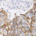 Olcina_Lab (@olcina_lab) Twitter profile photo Olcina_Lab (@olcina_lab) Twitter profile photo