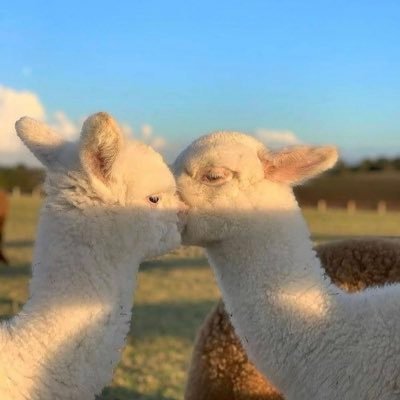 9gDcVGb16smNI3W's profile picture. 👩‍👧‍👦8歳男の子&5歳女の子🛩海外在住🏋🏻‍♀️筋トレ🎥海外ドラマ✏️仏語/英語