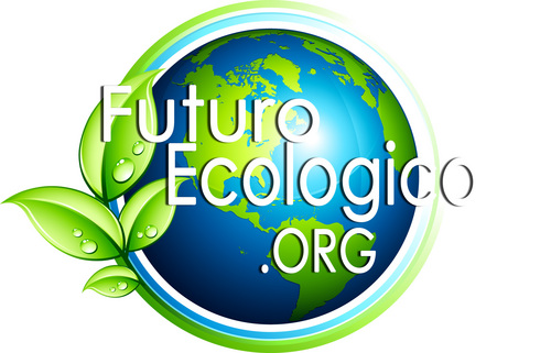 Organizacion sin Fines de lucro en pro del Medio Ambiente, Sitio Web interactivo entre organizaciones/usuarios y Proyecto Radial Ambientalista.