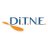 DiTNE_Energia avatar