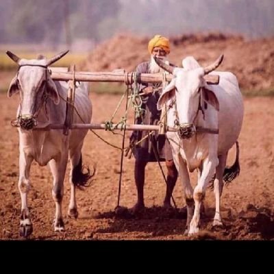 Satveer84697023's profile picture. Never give up