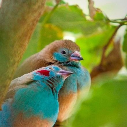 KTRao80764243's profile picture. S S S Creations