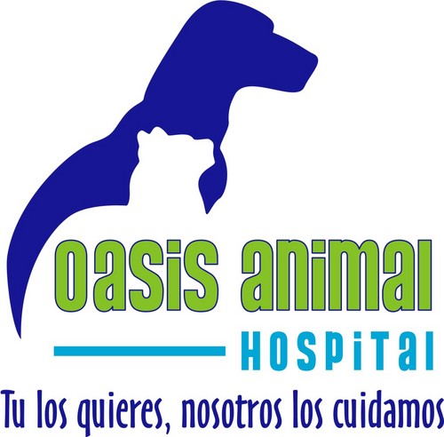 oasisanimal's profile picture. Oasis Animal Hospital offers full veterinarian services in Cozumel, Mexico both in Spanish and English.