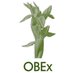 OBEx -Olimpiada de Biología en Extremadura- (@obex_bioex) Twitter profile photo OBEx -Olimpiada de Biología en Extremadura- (@obex_bioex) Twitter profile photo