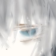 シロイさんのプロフィール画像