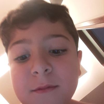 DappingDog's profile picture. 