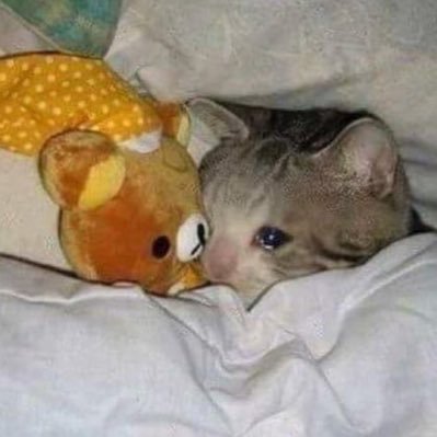 hwemsx's profile picture. 박사모(박지훈을사랑하는모임)