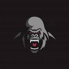 OGorillas's profile picture. Official account of the Omaha Gorillas from the NBA