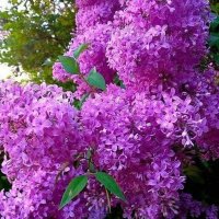 fatoşş kaya (@fatoska53179025) 's Twitter Profile Photo fatoşş kaya (@fatoska53179025) 's Twitter Profile Photo