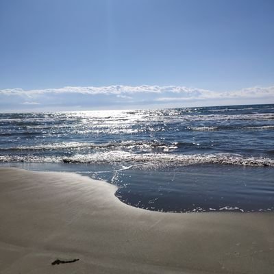 cokbencilsiniz's profile picture. 