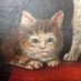 Sad Ass Cats (@newkagakwaras) Twitter profile photo Sad Ass Cats (@newkagakwaras) Twitter profile photo