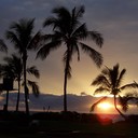 Ellis Thompson - @EllisThompson1 - Twitter