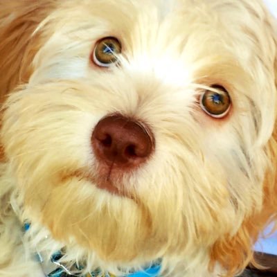 churruca_78's profile picture. 