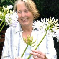Diana Mead (@artygardener) 's Twitter Profile