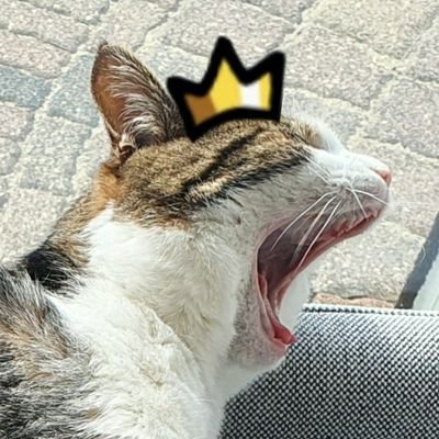 hello! I'm Juultje/Julia. I use she/her and I love the Owl House and Minecraft:
some shows I also like are:
Amphibia,Inside job and alot more cartoons :D 🌸💜🦋