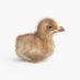 BabyEagle (@imbabyeagle) Twitter profile photo BabyEagle (@imbabyeagle) Twitter profile photo