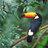 katejang2006's profile image