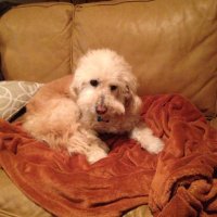 M.Charlie (@mcharlie18) 's Twitter Profile Photo M.Charlie (@mcharlie18) 's Twitter Profile Photo