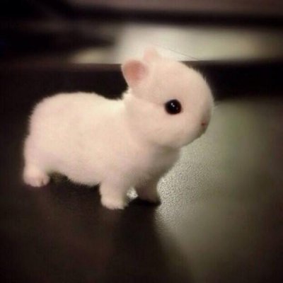 karsullie's profile picture. 🇨🇦🇬🇧
#CARNEY   #NeverPoilievre     Please NO Lists or DMs