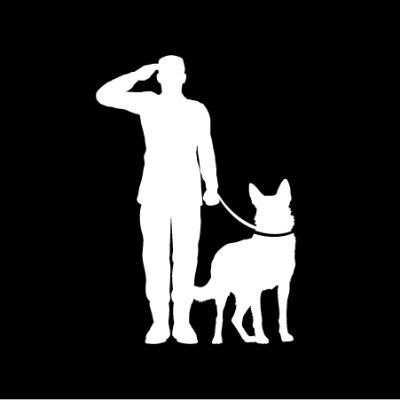 We complement the traditional treatment for veterans with PTSD, TBI, and MST, by training them and their dog to become service dog teams.