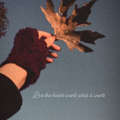 Sumbal15557088's profile picture. beautifully chaotic ✨