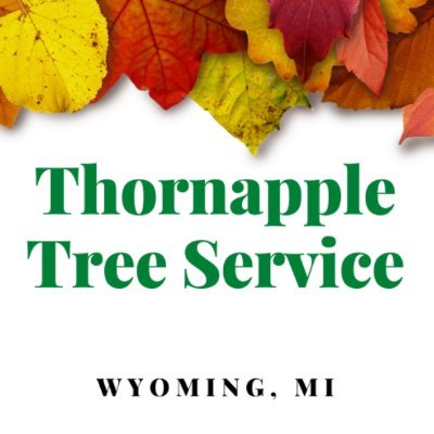 Thornapple Tree Service Wyoming
841 28th St SW, Wyoming, MI 49509
616-202-3022