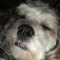 Lucas Myers (@taeykay) Twitter profile photo