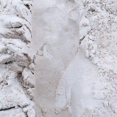 RoumiSarhan's profile picture. morgen ist ein fach