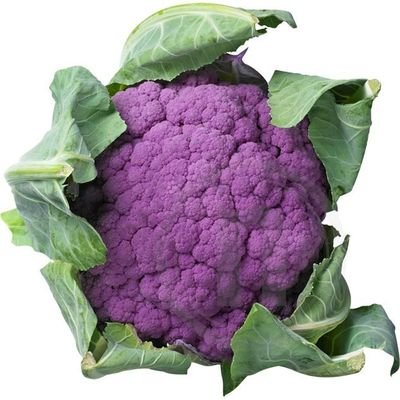 freestyler8701's profile picture. Freeloving International traveller and foodie.