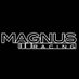 Magnus Racing (@MagnusRacing) Twitter profile photo