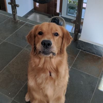 graciano_elena's profile picture. 