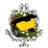 SSpartan913's profile image