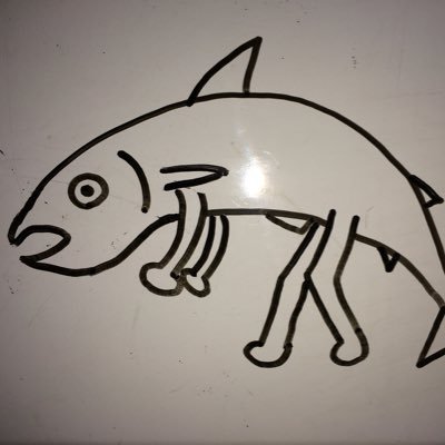 シャケさんのプロフィール画像