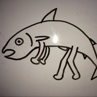 シャケ (@lahmu_types) Twitter profile photo