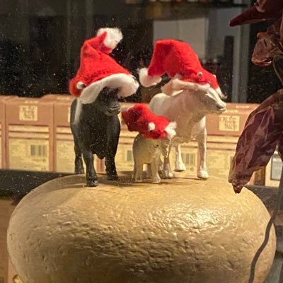 Cheese Shop in Dingle, Kerry specialising in Irish cheeses owned and operated by @murpmark also connected to @DingleCookeryS