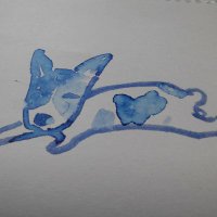 うえお (@c6ote8qk4svnqzi) 's Twitter Profile