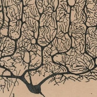 Yacine68092745's profile picture. 