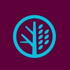 ConsulTree's profile picture. Executive Search & Leadership Consulting,  Digital Transformation & Executive Coaching.