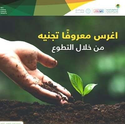 salhas77's profile picture. 