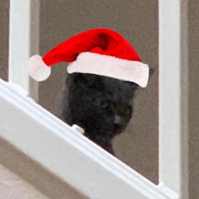 TravesExplained's profile picture. Explaining @Traves , @MoreTraves , and @TravesBrain