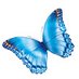 Wagner/Chaudhari Lab (@genomicmedlab) Twitter profile photo Wagner/Chaudhari Lab (@genomicmedlab) Twitter profile photo