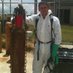 Nelson Gomes (@njgomesv) Twitter profile photo Nelson Gomes (@njgomesv) Twitter profile photo