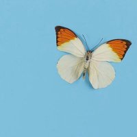 Dré (@soldmysole2nike) 's Twitter Profile Photo