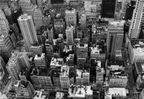 BelfastPup's profile picture. use this account for kink. have a regular account too just ask