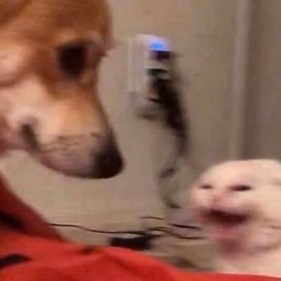 heroingorez's profile picture. ᡕᠵ᠊ᡃ່࡚ࠢ࠘ ⸝່ࠡࠣ᠊߯᠆ࠣ࠘ᡁࠣ࠘᠊᠊ࠢ࠘𐡏~♡ welcome my loves