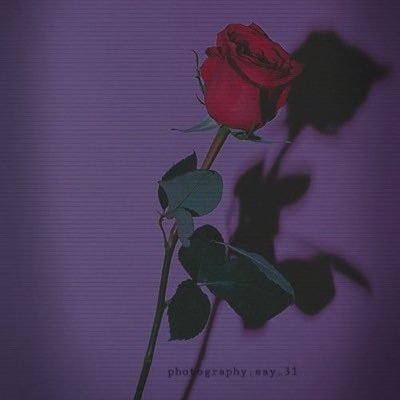 tkluvvv2's profile picture. new acc.💕